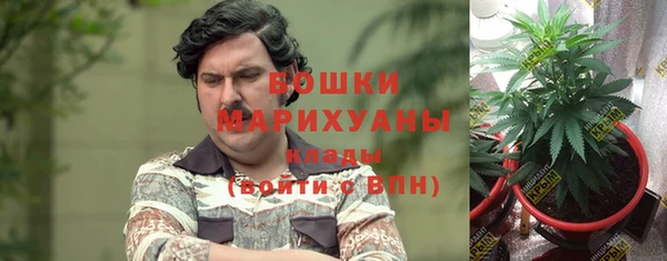 MDMA Верхний Тагил