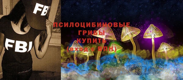 дживик Верея