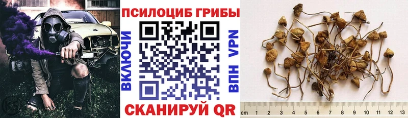 Псилоцибиновые грибы Magic Shrooms  hydra ссылка  Находка 