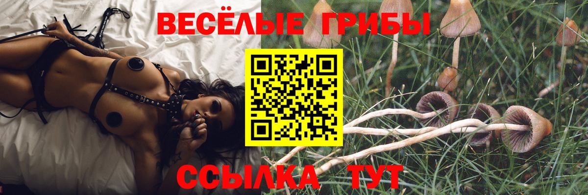 Псилоцибиновые грибы мухоморы Находка