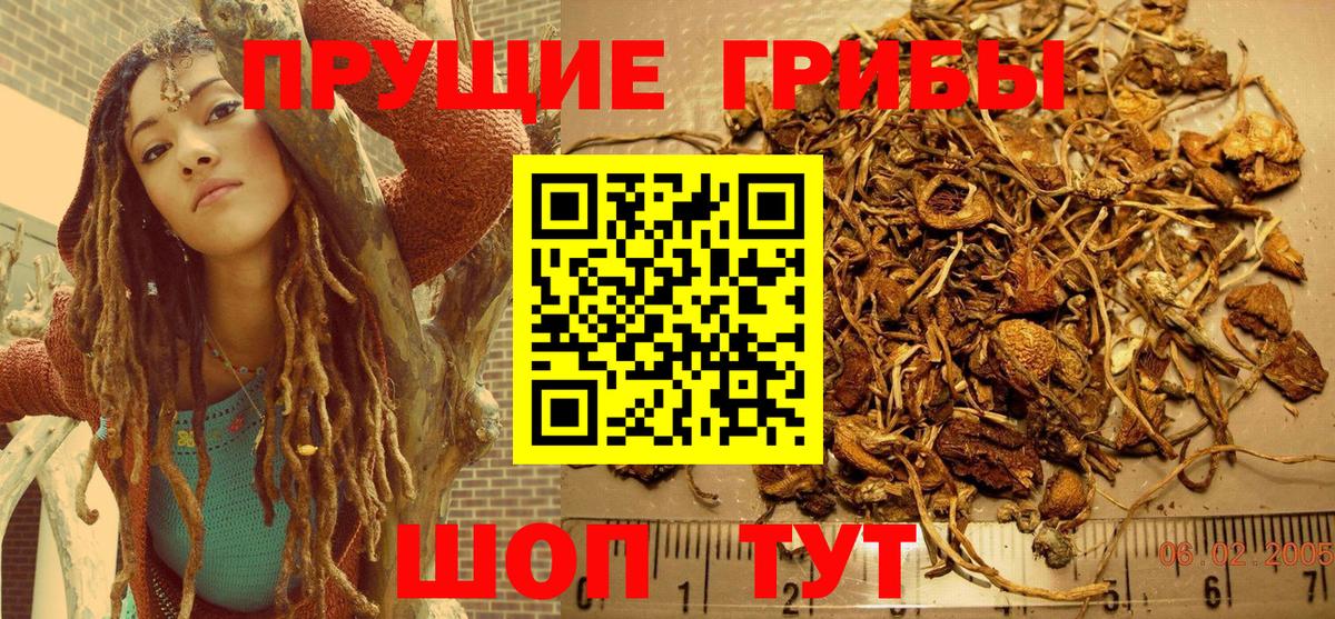 Псилоцибиновые грибы прущие грибы  Галлюциногенные грибы Magic Shrooms  Находка  Вход с VPN 